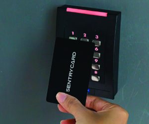 Artboard 2-100